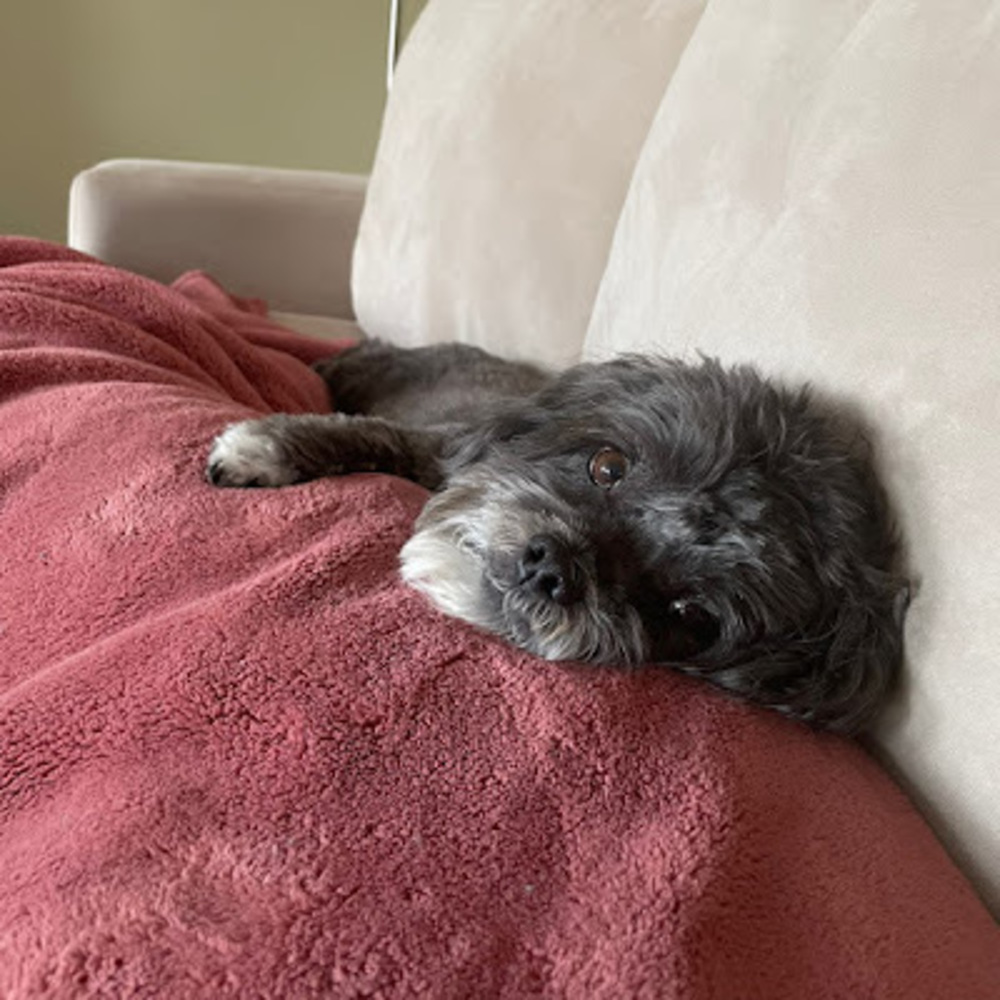 Meet your Posher, Siobhan